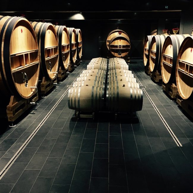 Pasillo de barricas de roble francés en nuestra bodega de Ponferrada