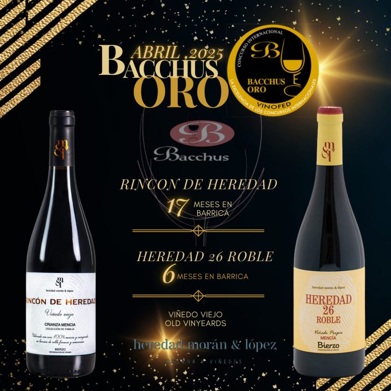 premios bacchus 25