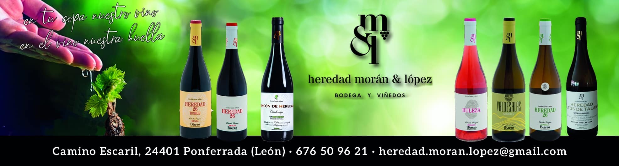 Selección de vinos Godello, Mencía y Rosado de la familia Morán López