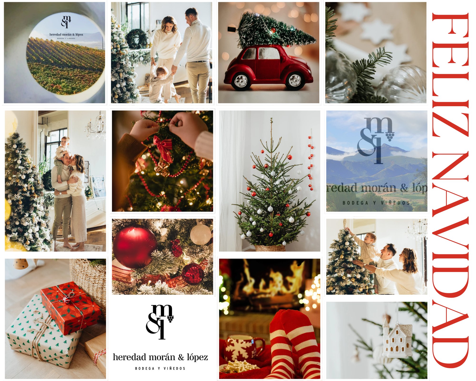 Ideas de regalo y cenas de Navidad con vinos de Ponferrada